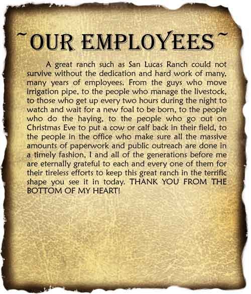 Our Employees